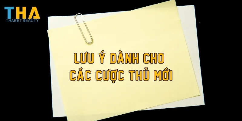 Lưu ý dành cho các cược thủ mới