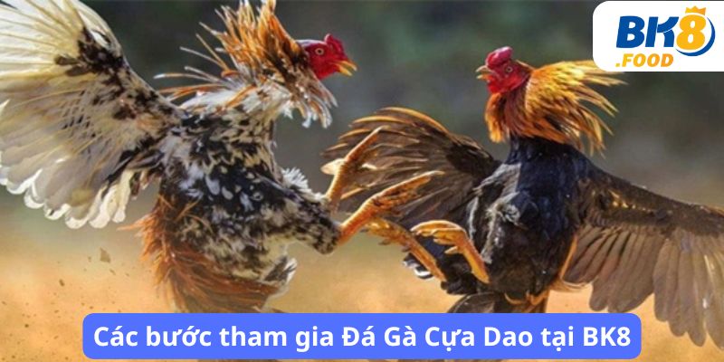 Các bước tham gia Đá Gà Cựa Dao tại BK8